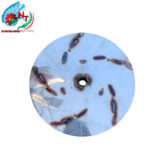 Cánh quạt mộc hóa 1 tấc 6