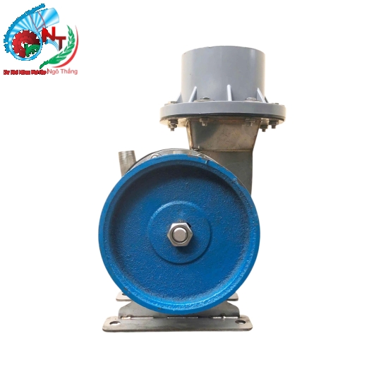 BƠM TRÊN CUROA 140MM, 3HP 1 PHA MÁY XĂNG CỐT THẲNG